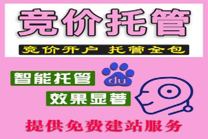 百度竞价推广托管案例分享：如何快速占领市场
